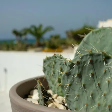 U Scrusciu Du Mari - Casuzze Seasound Holidays * Marina di Ragusa